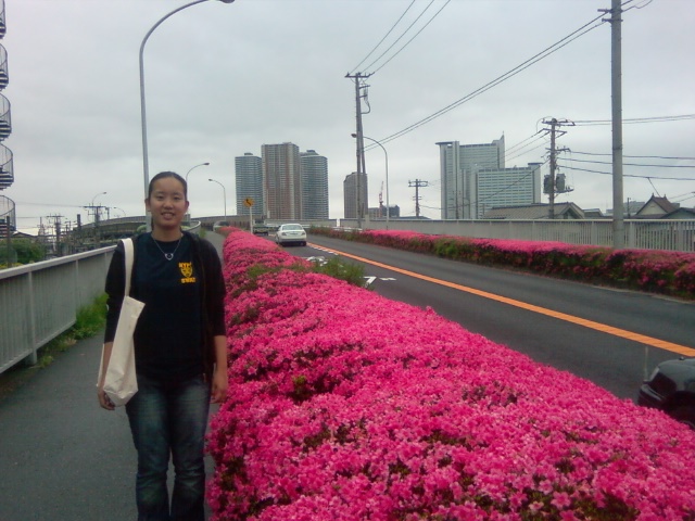 File:Ami with pinkly flowered bushes 25 May 2008.jpg