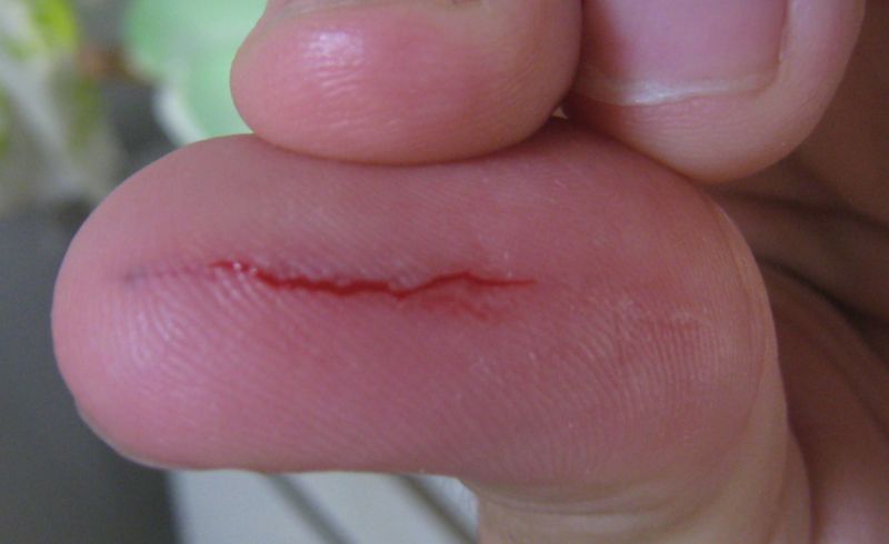 File:6-the crack.jpg