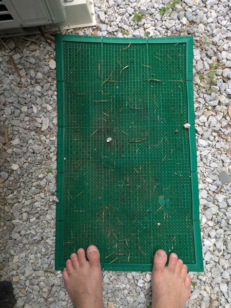 File:Item-green-entrance-mat-1.jpg