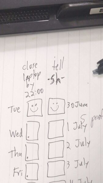 File:Item-seven-day-to-do-tracker-sheet-1.jpg
